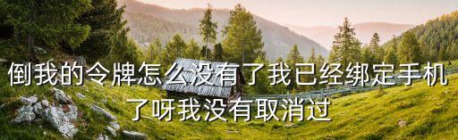 倒我的令牌怎么没有了我已经绑定手机了呀我没有取消过