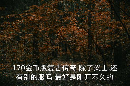 170金币版复古传奇 除了梁山 还有别的服吗 最好是刚开不久的