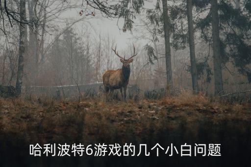 哈利波特6游戏的几个小白问题