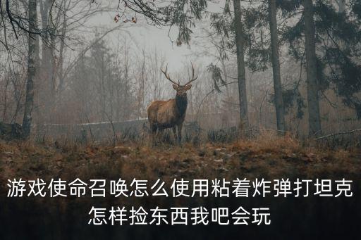 游戏使命召唤怎么使用粘着炸弹打坦克怎样捡东西我吧会玩
