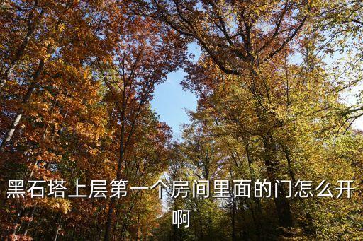 黑石塔上层第一个房间里面的门怎么开啊