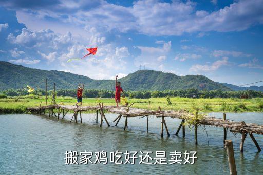 黑色沙漠手游领路鹰怎么抓，我的宠物京巴没了