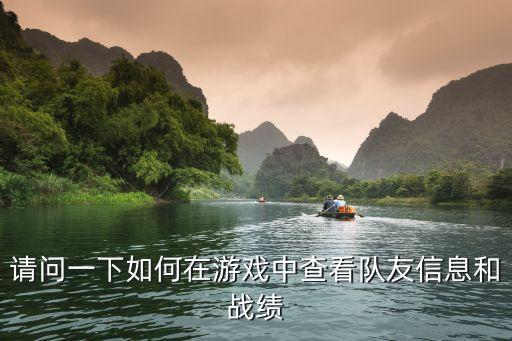 大话手游怎么看队友技能，请问一下如何在游戏中查看队友信息和战绩
