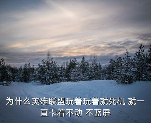 为什么英雄联盟玩着玩着就死机 就一直卡着不动 不蓝屏