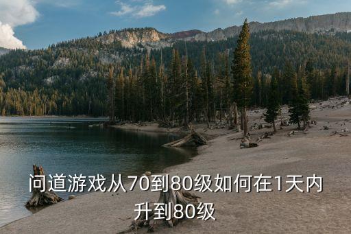 问道游戏从70到80级如何在1天内升到80级