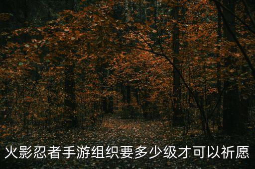 火影忍者手游组织要多少级才可以祈愿