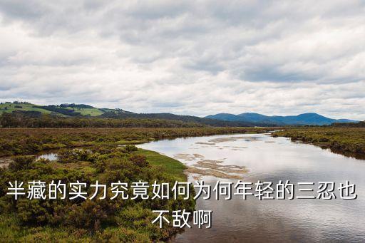 半藏的实力究竟如何为何年轻的三忍也不敌啊