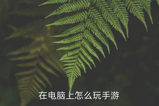 三七手游怎么在电脑上玩，在电脑上怎么玩手游