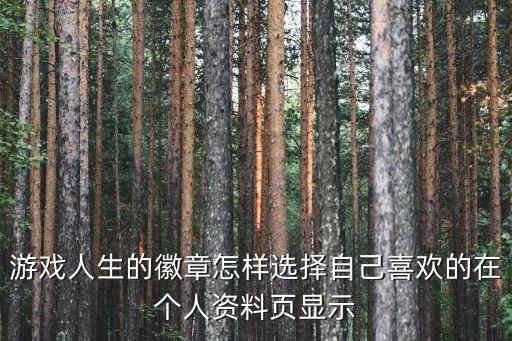 游戏人生的徽章怎样选择自己喜欢的在个人资料页显示