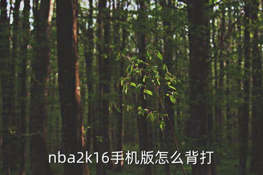 nba2k16手机版怎么背打