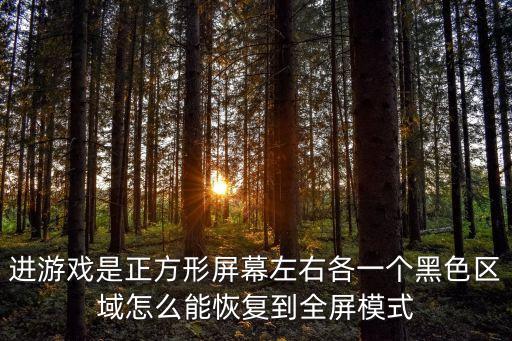 进游戏是正方形屏幕左右各一个黑色区域怎么能恢复到全屏模式