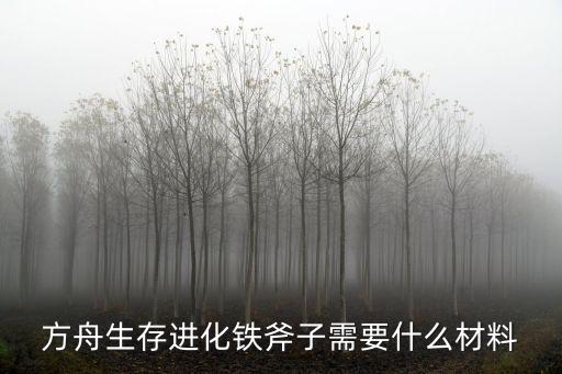 方舟生存进化铁斧子需要什么材料