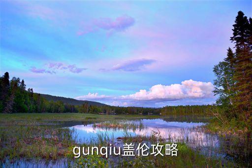 gunqiu盖伦攻略
