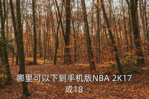 nba2k21手游怎么进去安卓，nba2konline游戏进入方法