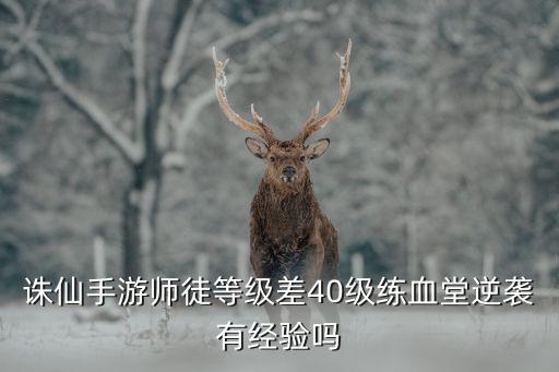 诛仙手游师徒等级差40级练血堂逆袭有经验吗