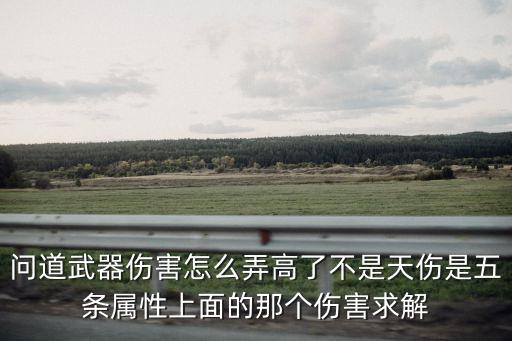 问道武器伤害怎么弄高了不是天伤是五条属性上面的那个伤害求解
