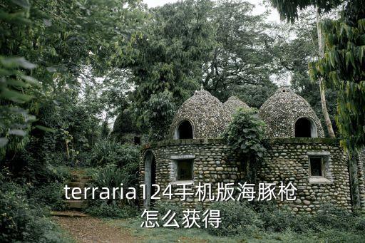 terraria124手机版海豚枪怎么获得