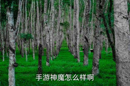 传奇手游神魔之地怎么样，我想玩神魔大地谁知道这游戏怎么样啊