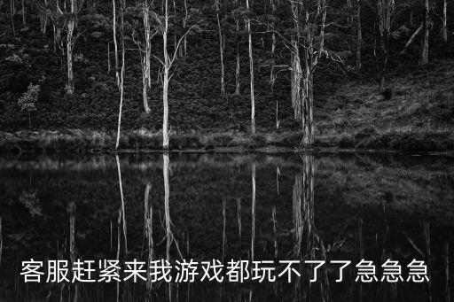 客服赶紧来我游戏都玩不了了急急急