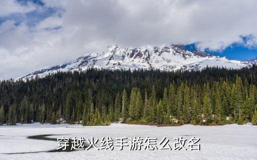 穿越火线生化手游怎么改名字，手游穿越火线怎么修改名字