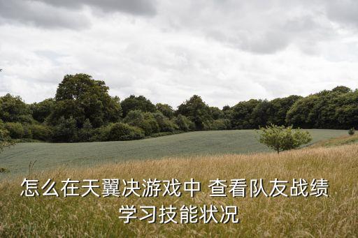 怎么在天翼决游戏中 查看队友战绩 学习技能状况