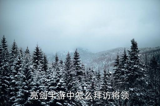 亮剑手游中怎么拜访将领