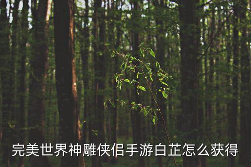 完美世界神雕侠侣手游白芷怎么获得