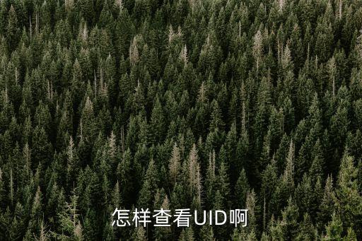 dnf手游uid怎么看，怎样查看UID啊