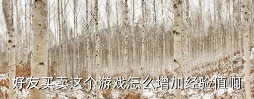 好友买卖这个游戏怎么增加经验值啊
