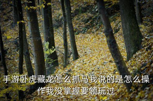 手游卧虎藏龙怎么抓马我说的是怎么操作我没掌握要领玩过