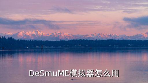 DeSmuME模拟器怎么用