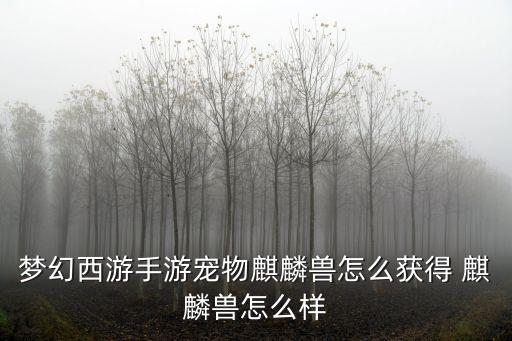 梦幻西游手游宠物麒麟兽怎么获得 麒麟兽怎么样