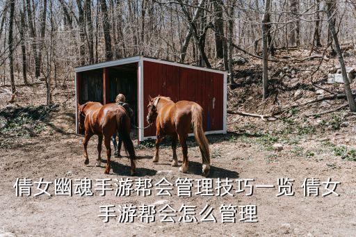 倩女幽魂手游副战场怎么指挥，倩女幽魂手游帮会管理技巧一览 倩女手游帮会怎么管理