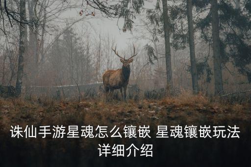诛仙手游星魂怎么镶嵌 星魂镶嵌玩法详细介绍