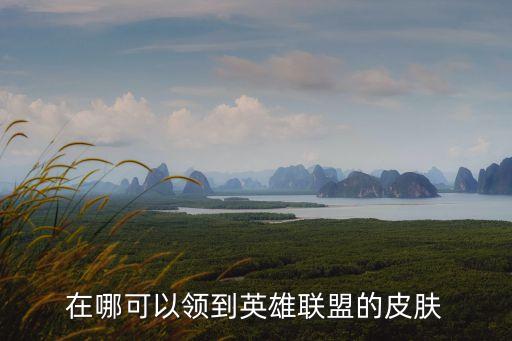 在哪可以领到英雄联盟的皮肤