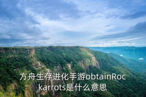 方舟生存进化手游obtainRockarrots是什么意思