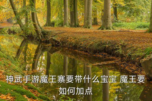 神武手游魔王寨要带什么宝宝 魔王要如何加点