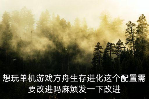 想玩单机游戏方舟生存进化这个配置需要改进吗麻烦发一下改进