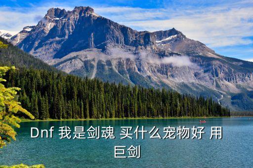 手游地下城剑魂宠物装备怎么选择，dnf剑魂选择什么宠物装备
