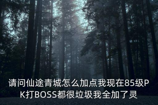 请问仙途青城怎么加点我现在85级PK打BOSS都很垃圾我全加了灵