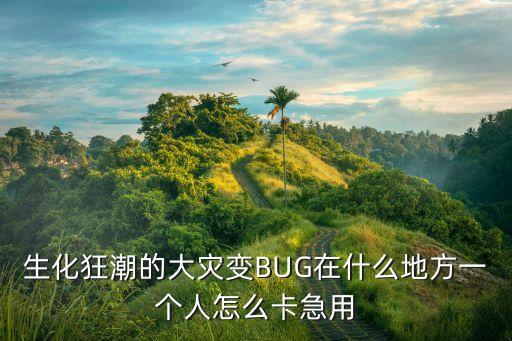 生化狂潮的大灾变BUG在什么地方一个人怎么卡急用