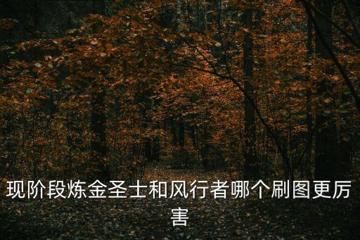 现阶段炼金圣士和风行者哪个刷图更厉害