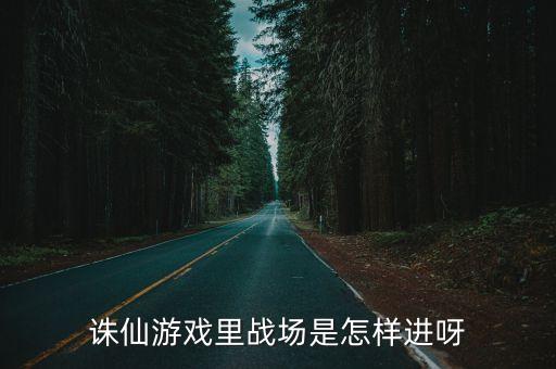 诛仙游戏里战场是怎样进呀