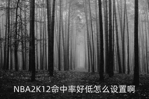 NBA2K12命中率好低怎么设置啊