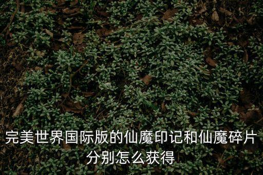 完美世界国际版的仙魔印记和仙魔碎片分别怎么获得