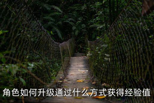 奥奇传说手游怎么刷人物经验，玩家如何获得更高的经验值