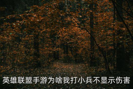 英雄联盟手游为啥我打小兵不显示伤害