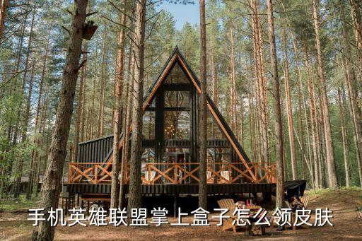 手机英雄联盟掌上盒子怎么领皮肤