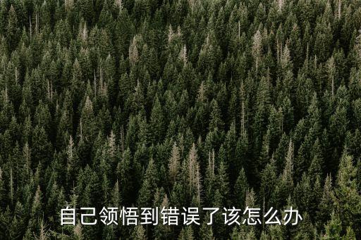 天龙八部手游要诀领悟错了怎么办，天龙八部点开始游戏之后显示出现了错误怎么办