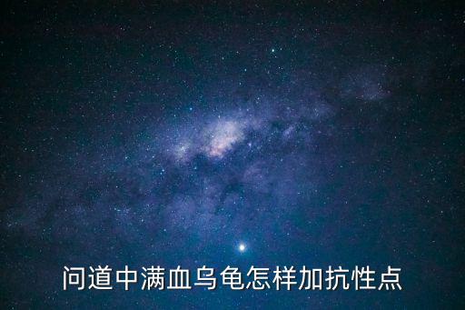 问道中满血乌龟怎样加抗性点